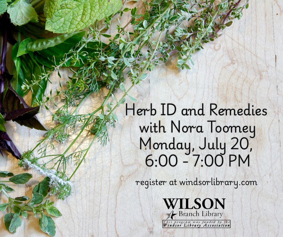 Herb ID & Remedies with Nora Toomey