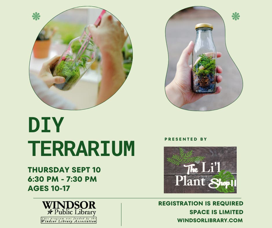 DIY Terrariums by Lil Plant Shop II