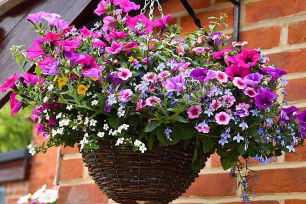 Garrett Hardware’s Hanging Basket Workshop