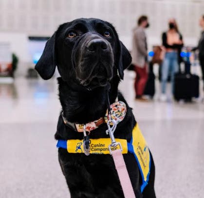 Kick-Off National Service Dog Month at Garrett Hardware