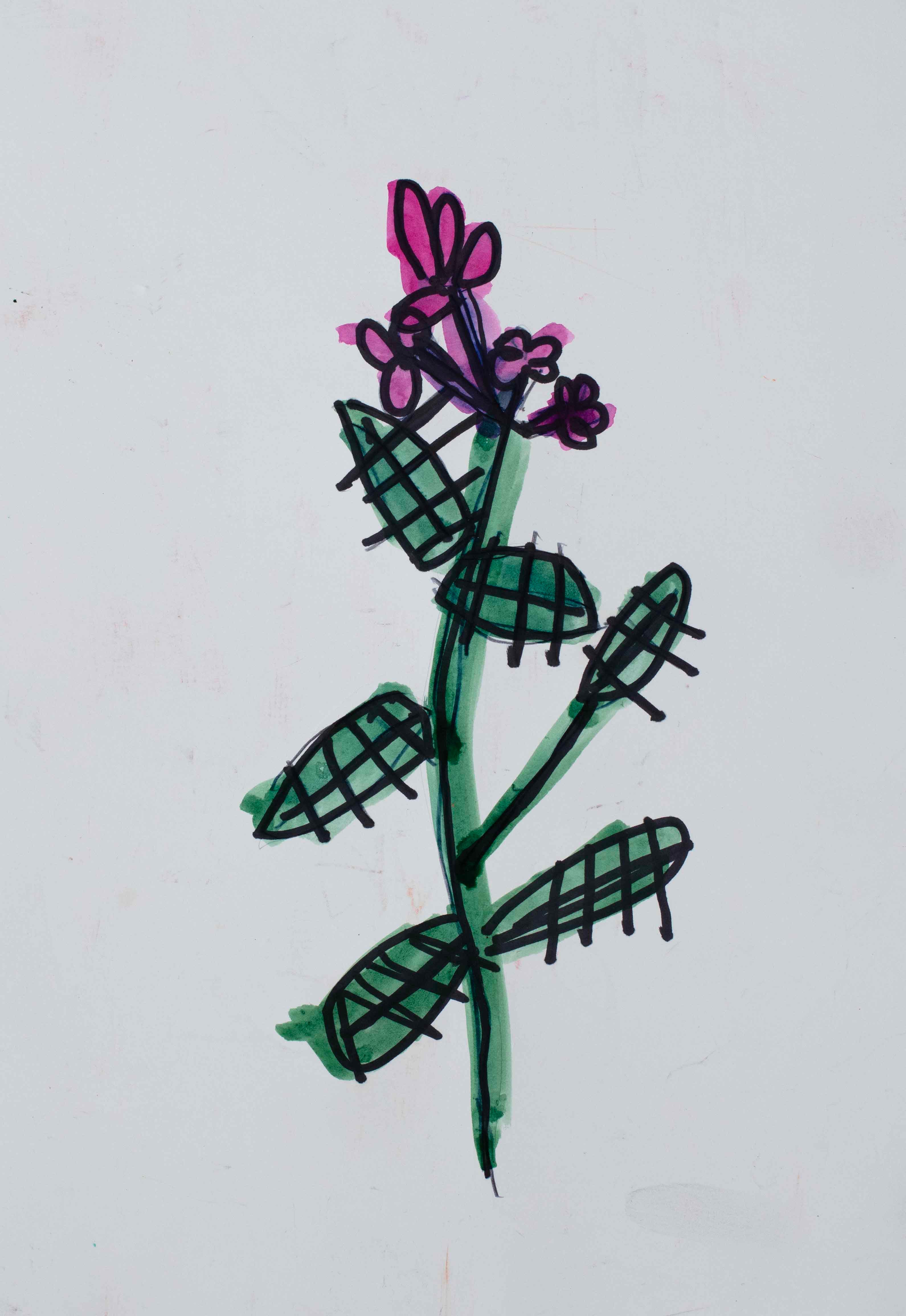 Cedars in the Garden - Opening Reception