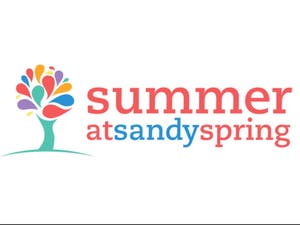 Summer At Sandy Spring
