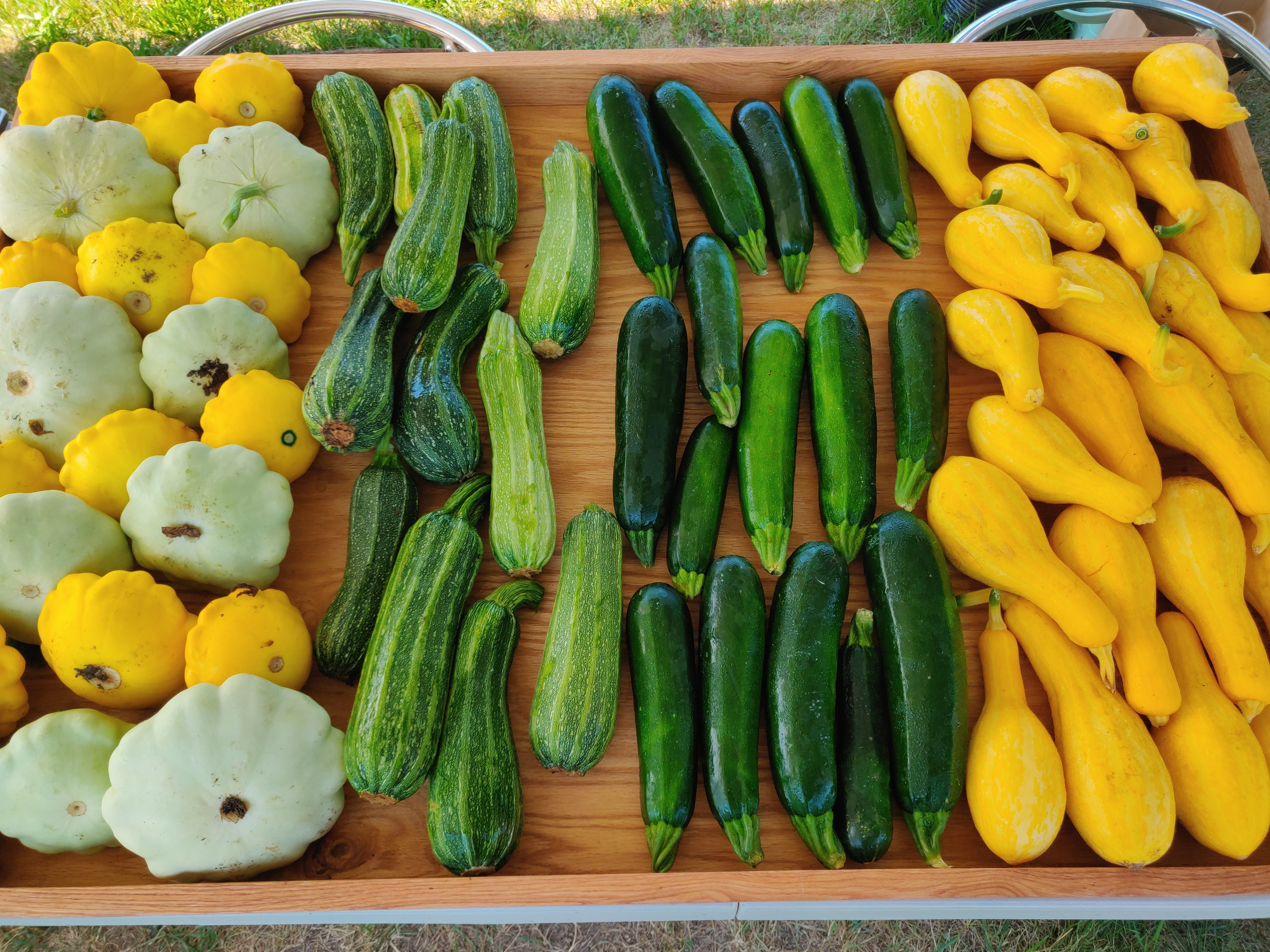 Farm stand featuring organically-grown produce opens for the season