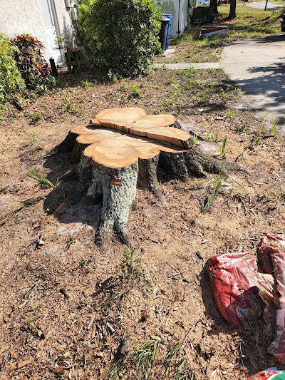 Barto Stumps & Tree Service