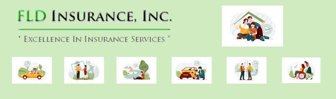 FLD Insurance Inc.