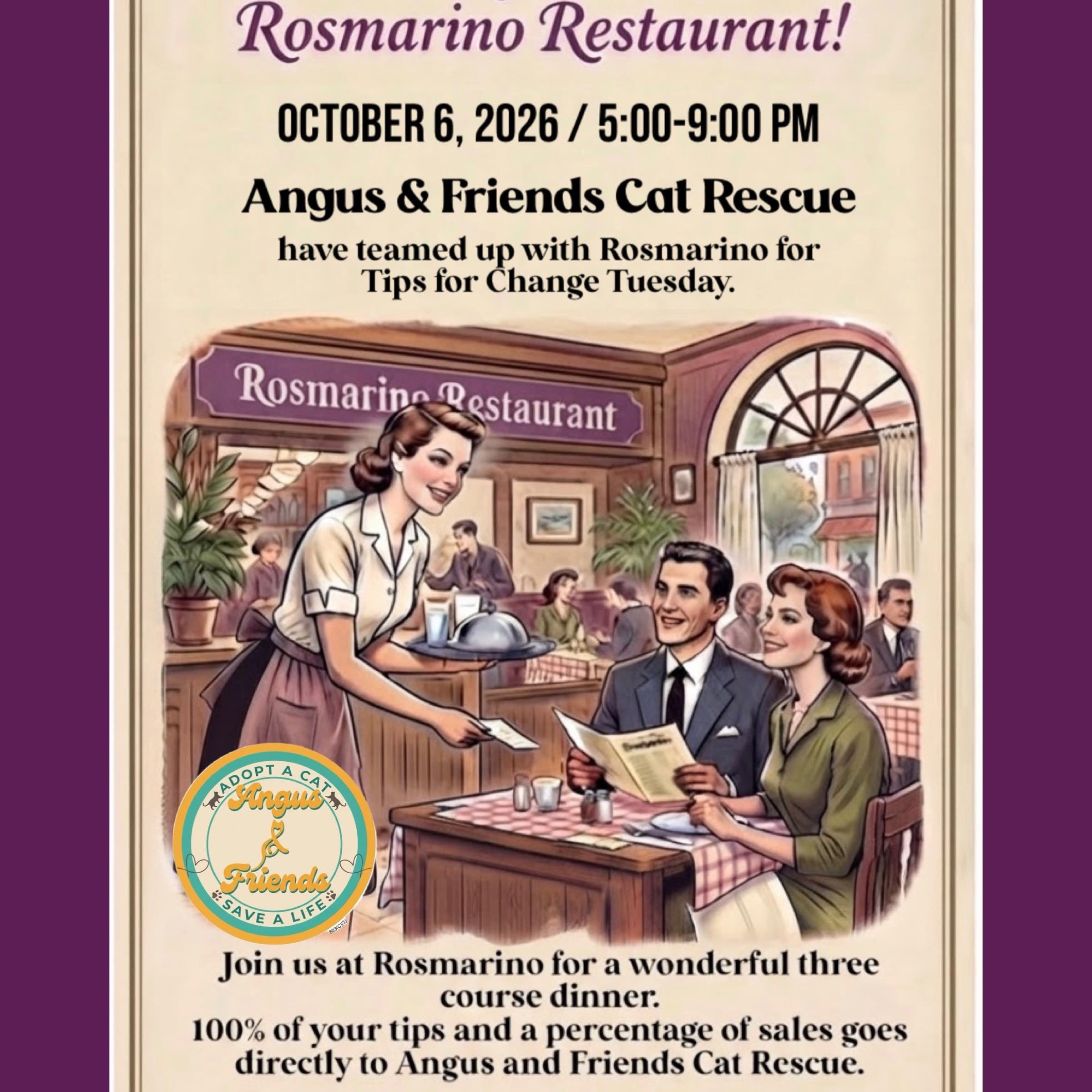Angus & Friends Cat Rescue Fundraiser!