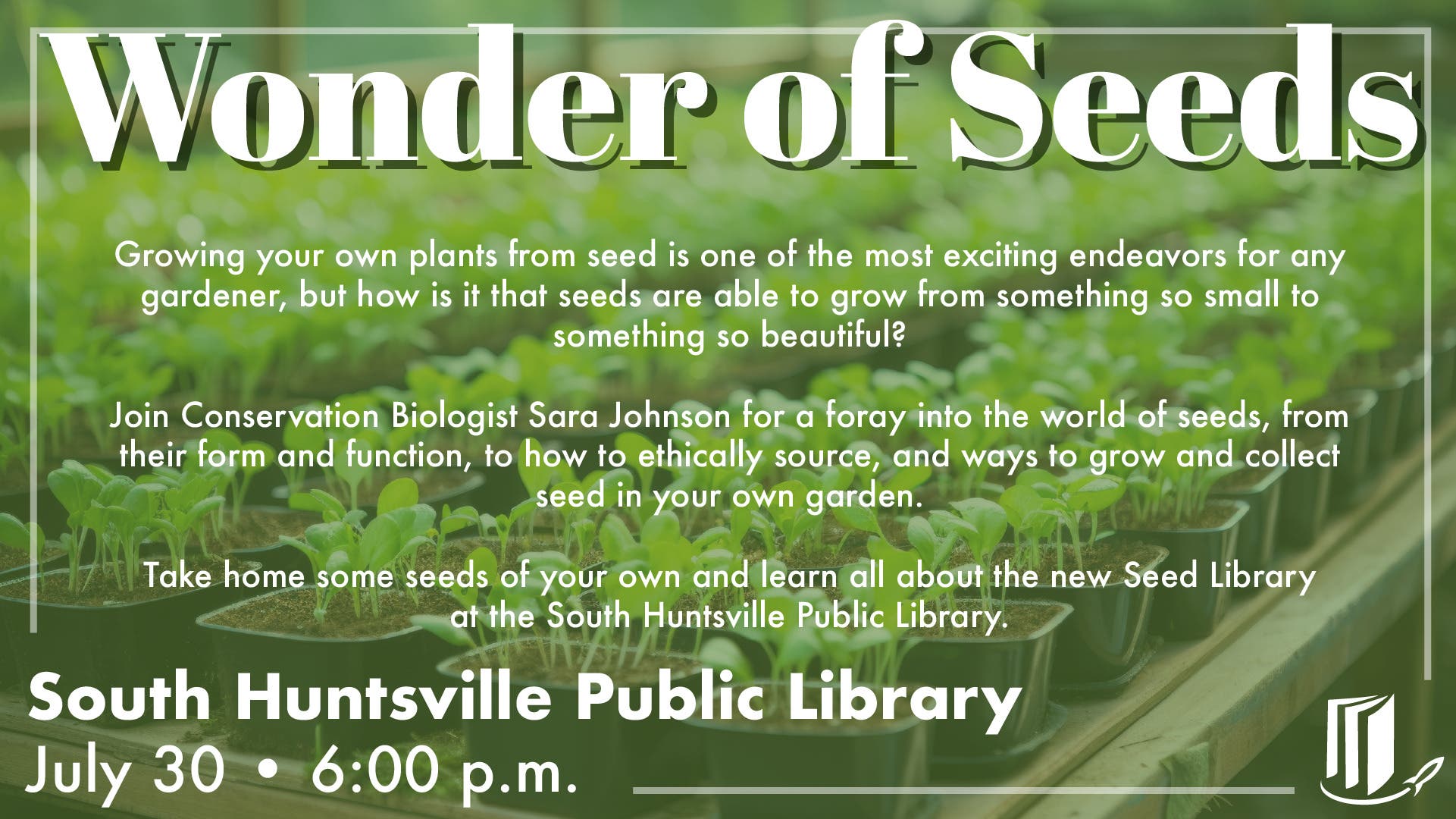 Wonder of Seeds