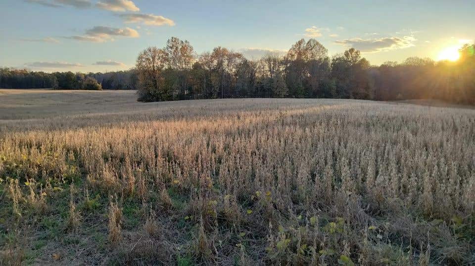 Central Virginia Battlefields Trust
