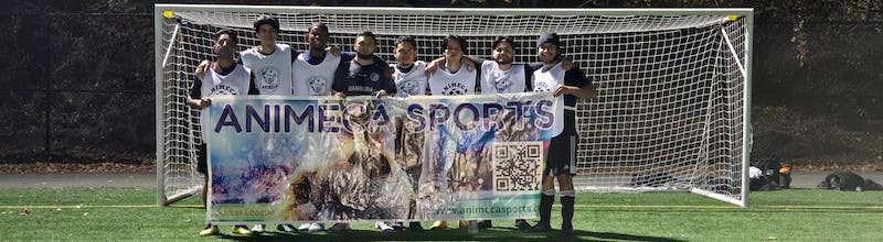 ANIMECA SPORTS