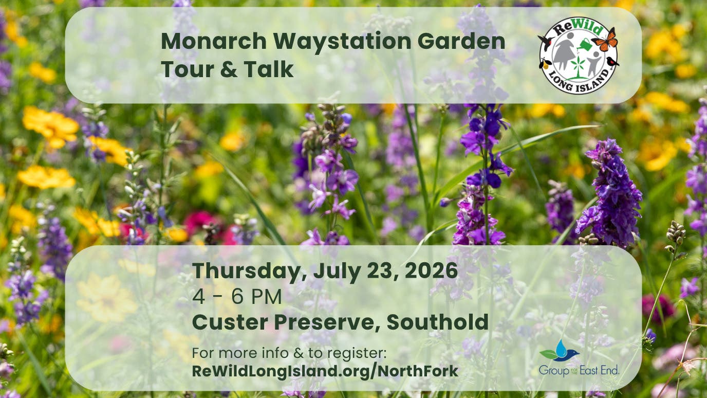 Monarch Waystation Garden Tour & Talk