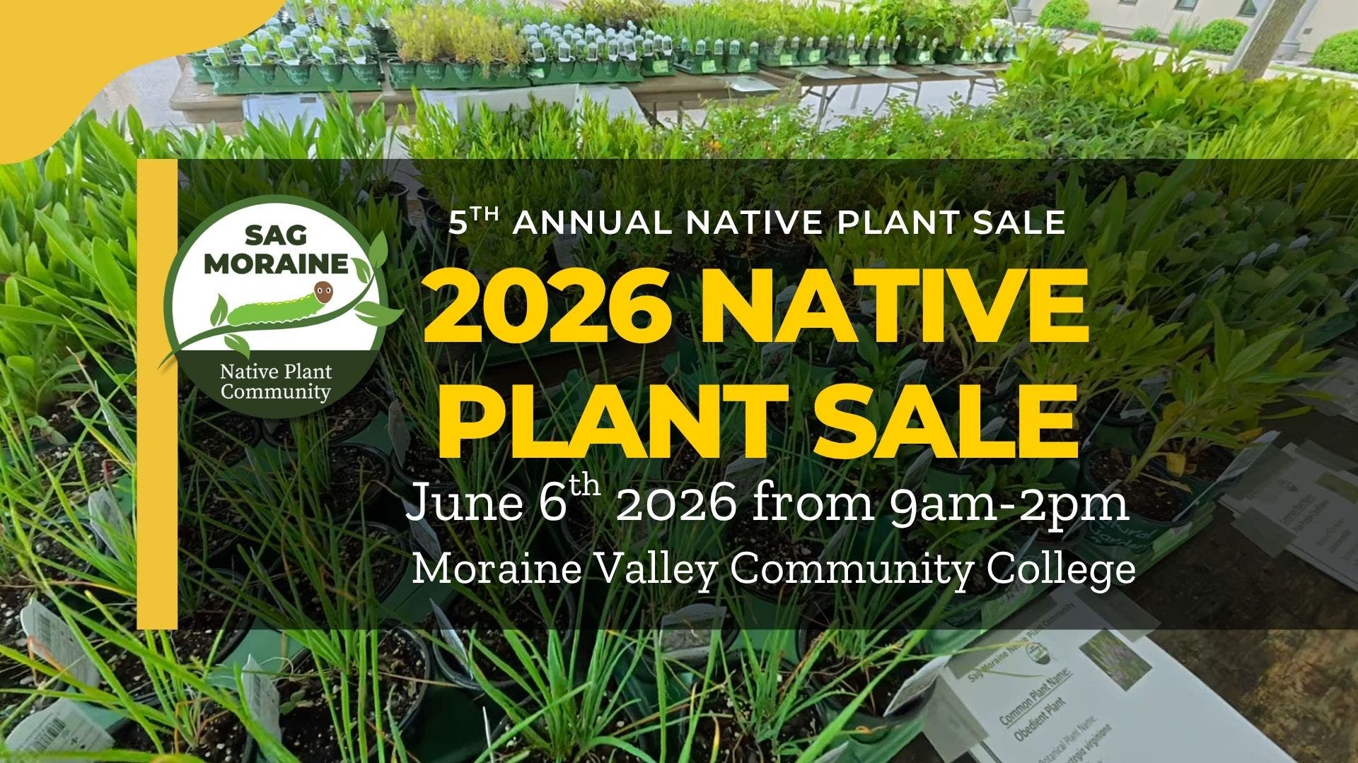 Sag Moraine Native Plant Sale