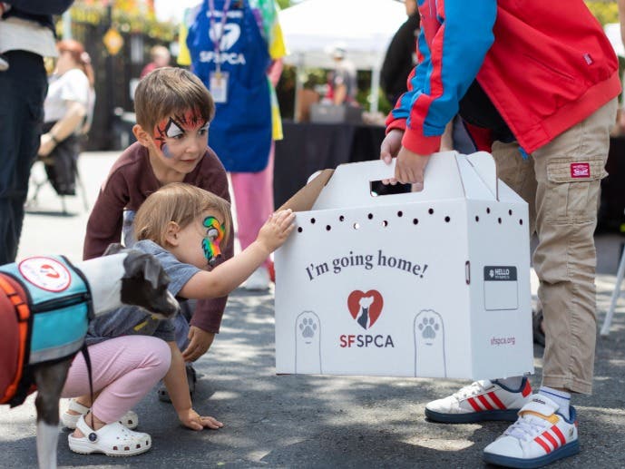 Clear the Shelters Free Adoption Event