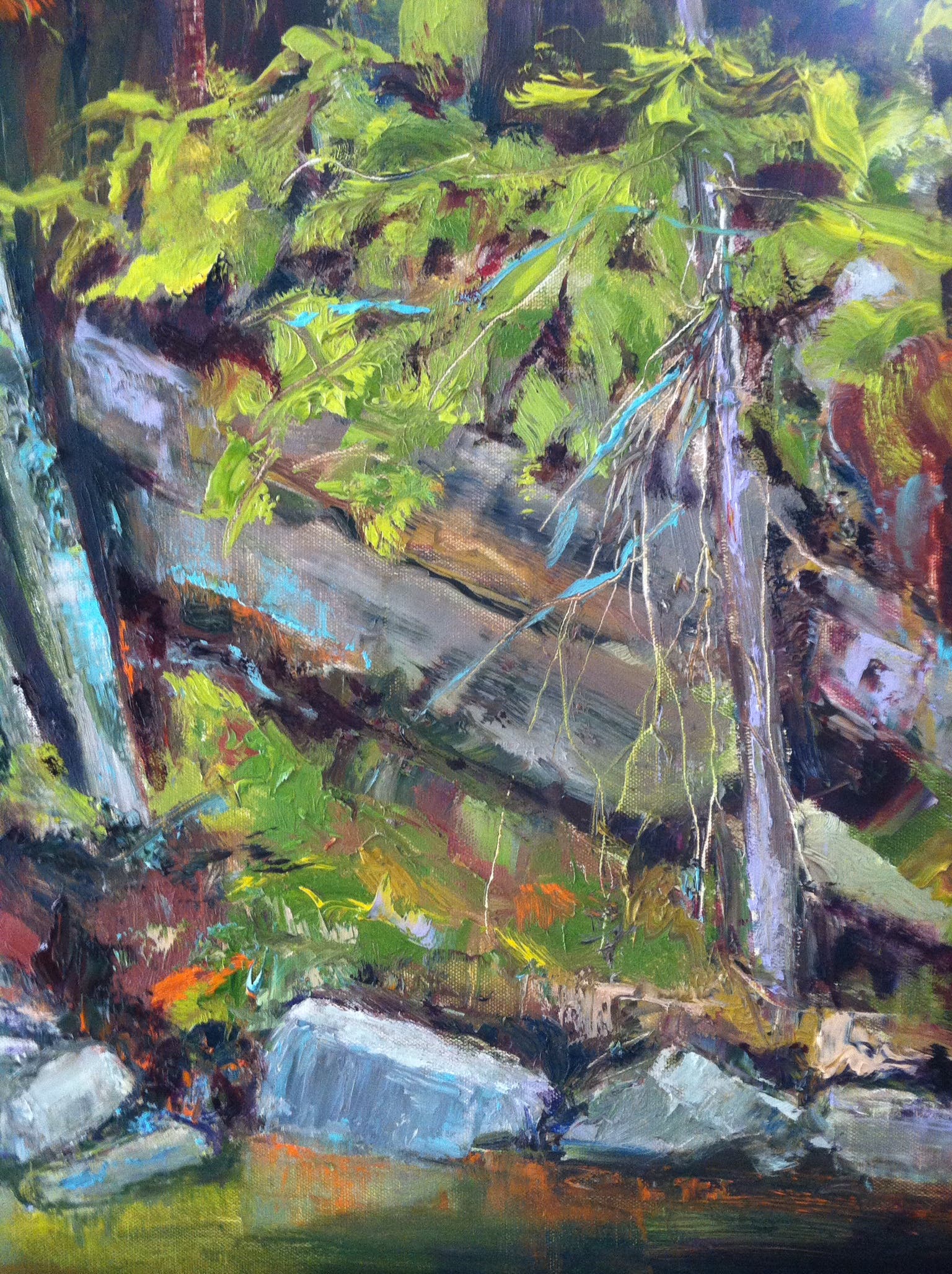SCAN Presents Souby Boski will be Demonstrating gestural painting