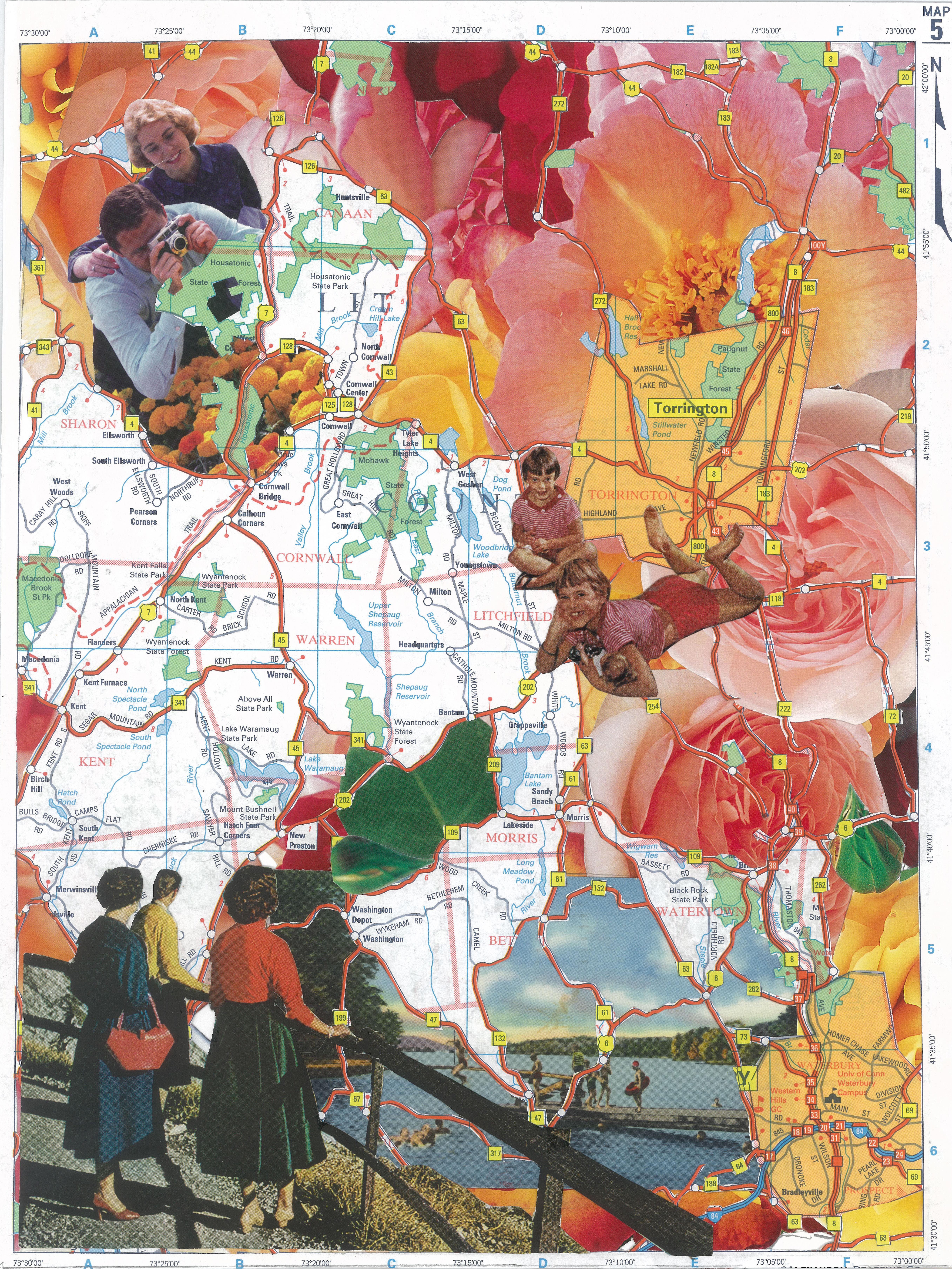 SCAN Presents Susan Lerner will be Demonstrating Hand Cut Collage