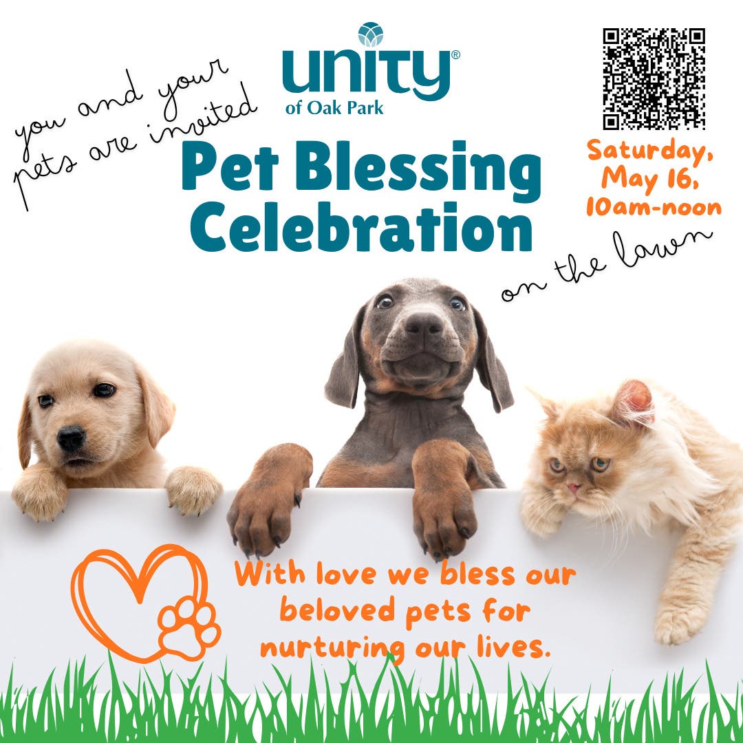 Pet Blessing - Join us out on the Lawn to Bless our Pets