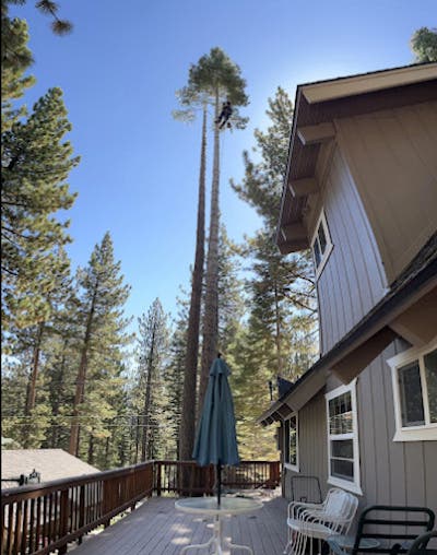 Sierra Crest Tree Service