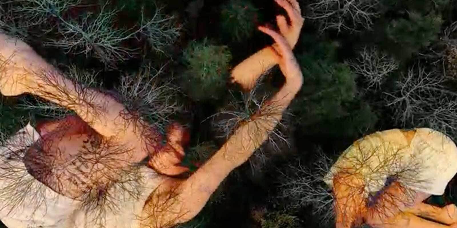 Field Studies (Symbiosis) Performance and Q&A