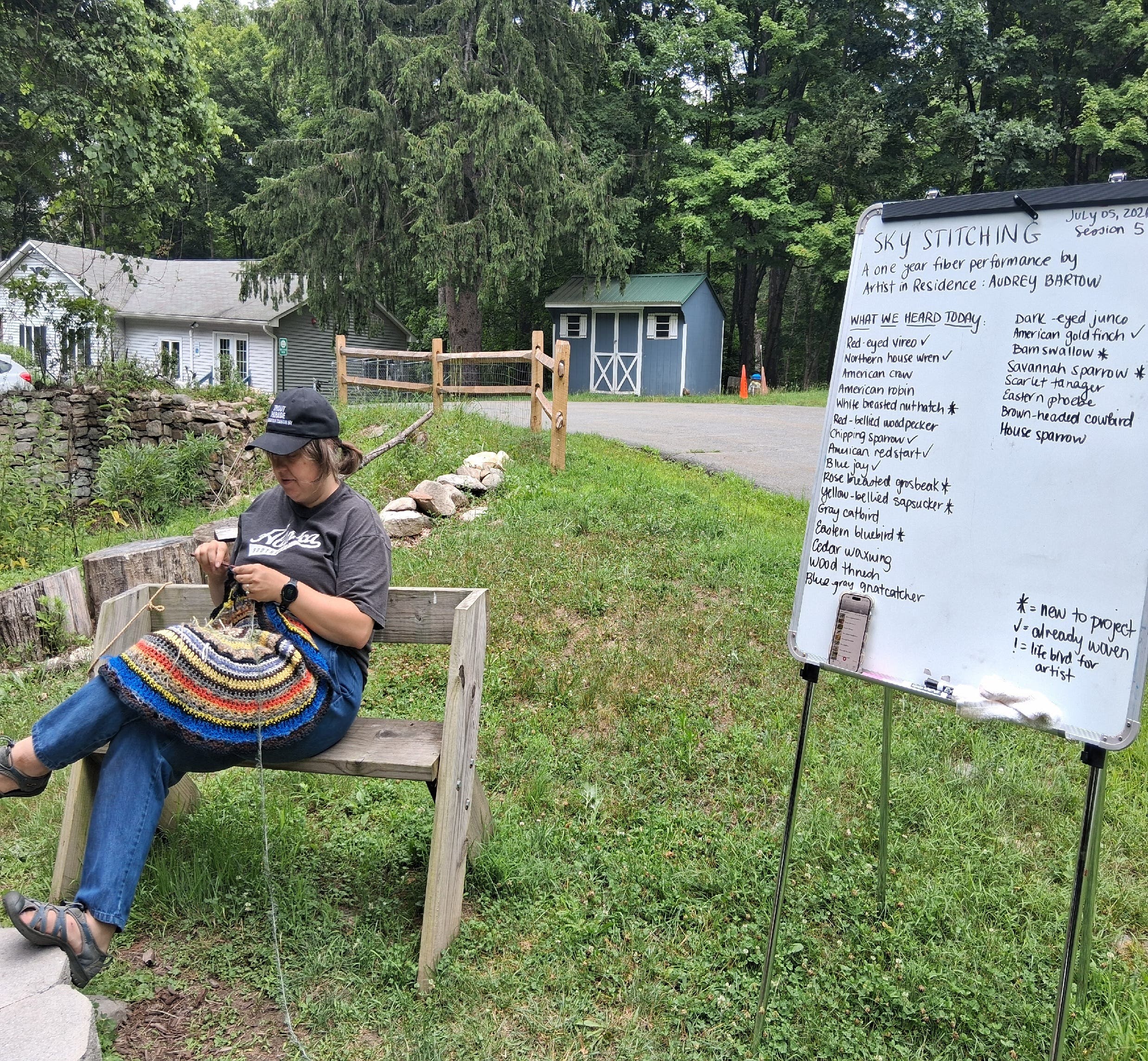 Artist Residency: Sky Stitching by Audrey Bartow