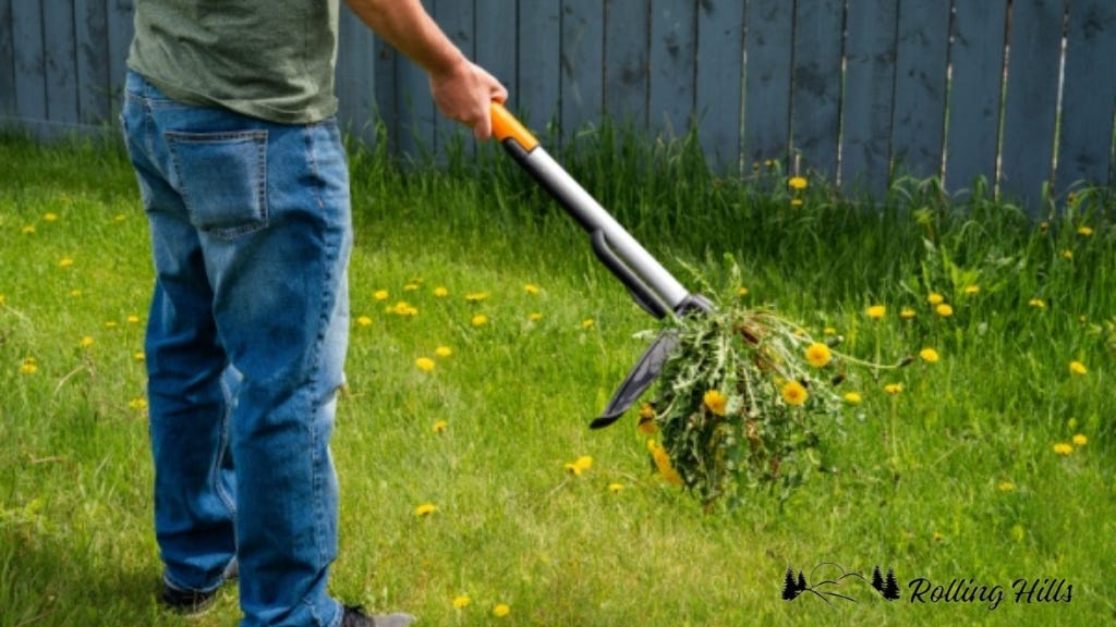 Rolling Hills Property Services, Inc.