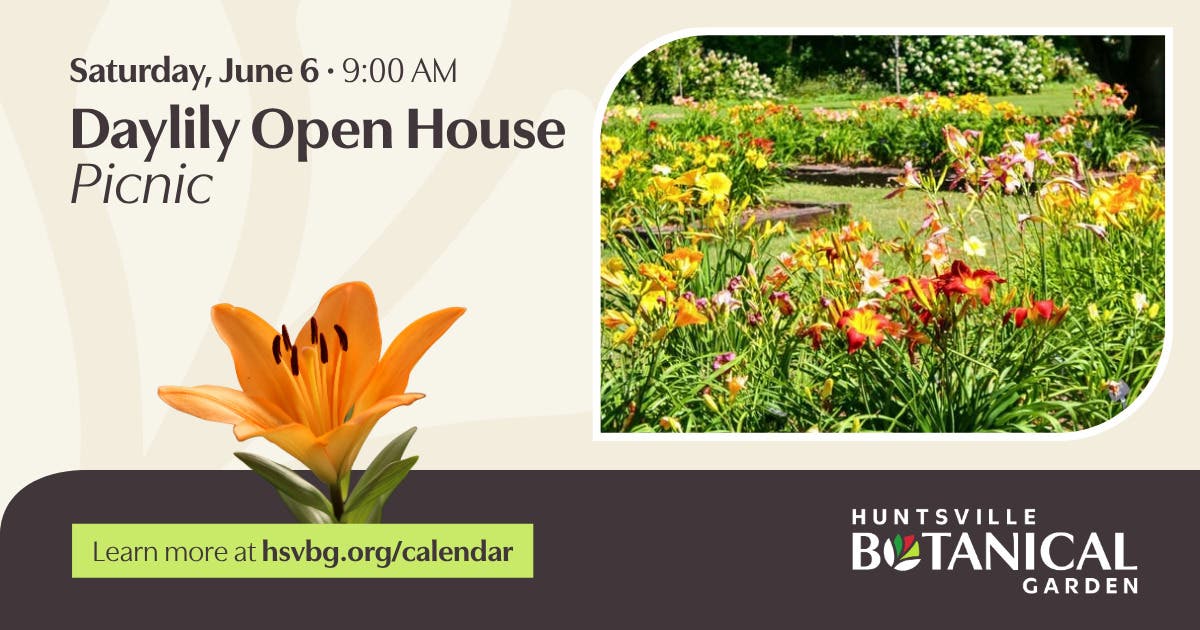 Daylily Open House Picnic