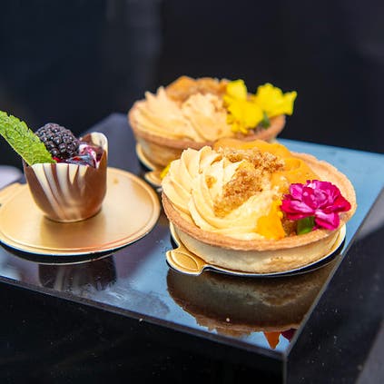 Bits & Bites Food Festival at the Dallas Arboretum