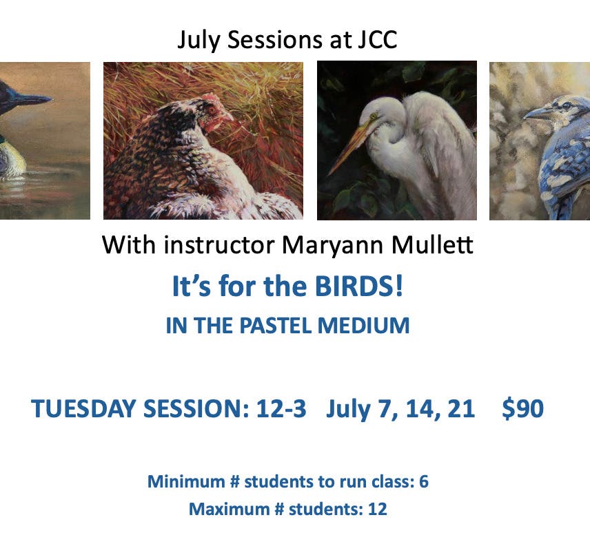 Pastel Class "It's for the BIRDS!"
