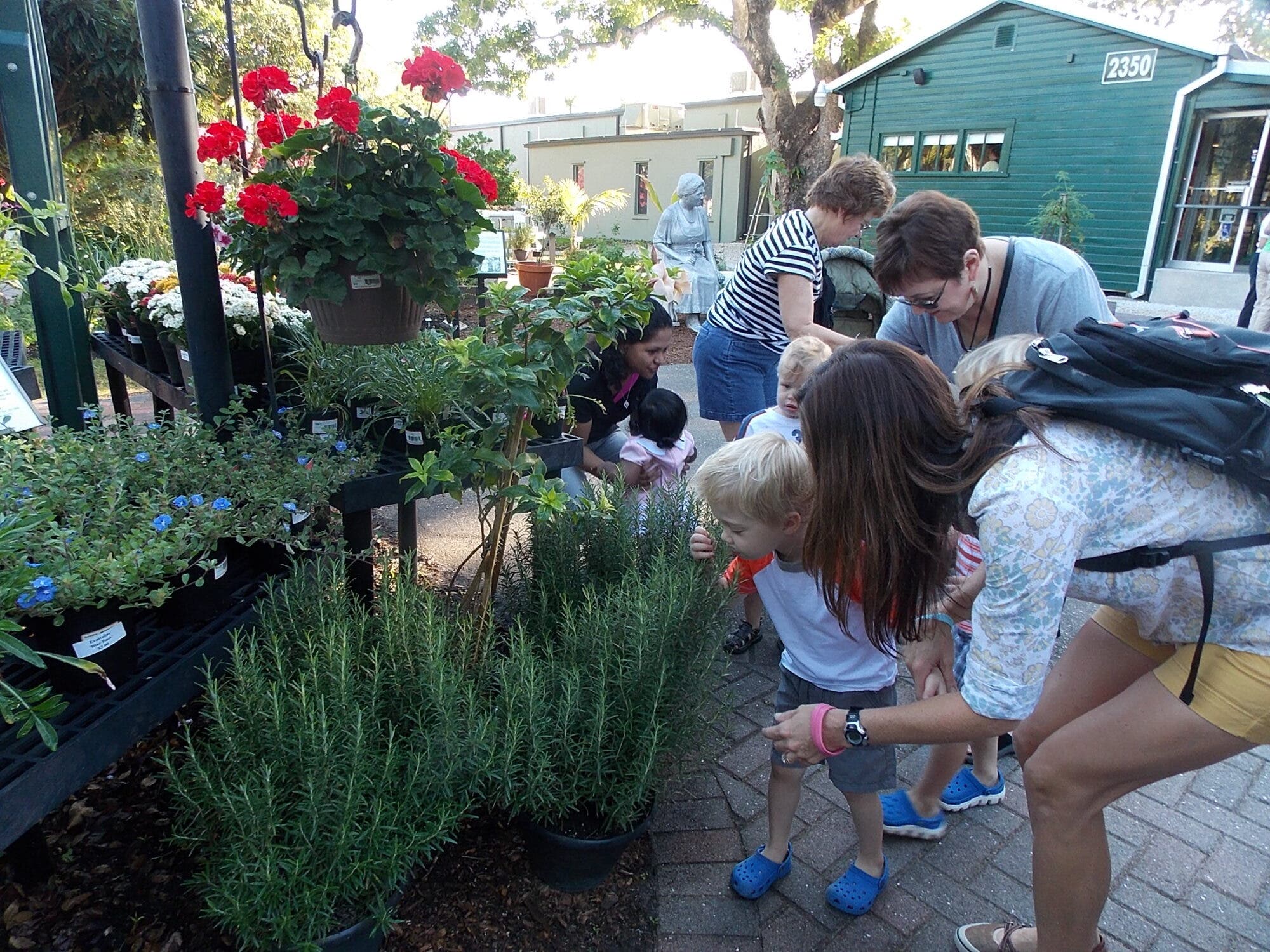 Pre-K Classes:Architects of Tomorrow: Mastering LEGO Engineering