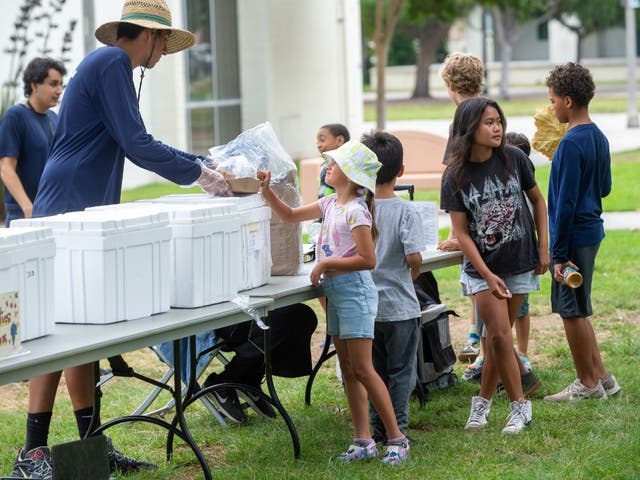 Here's Where Kids Can Get A Free Meal In Long Beach This Summer | Long ...