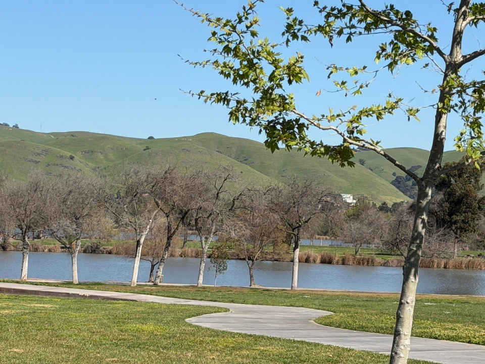 A photo of Lake Elizabeth in Fremont. 