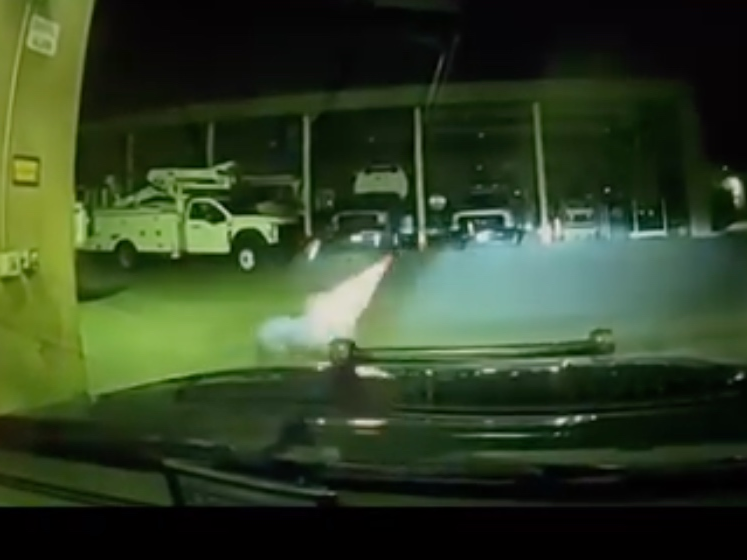 Adonis, a K-9 with the San Mateo County Sheriff's Office, has a cone on his head. 