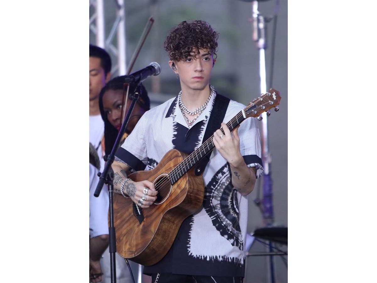 TikTok Star Arrested For Targeting Boy-Band Singer In Murder-For-Hire Plot: DA