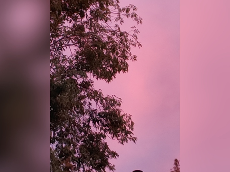 Fremont skies lit up in a purple hue.