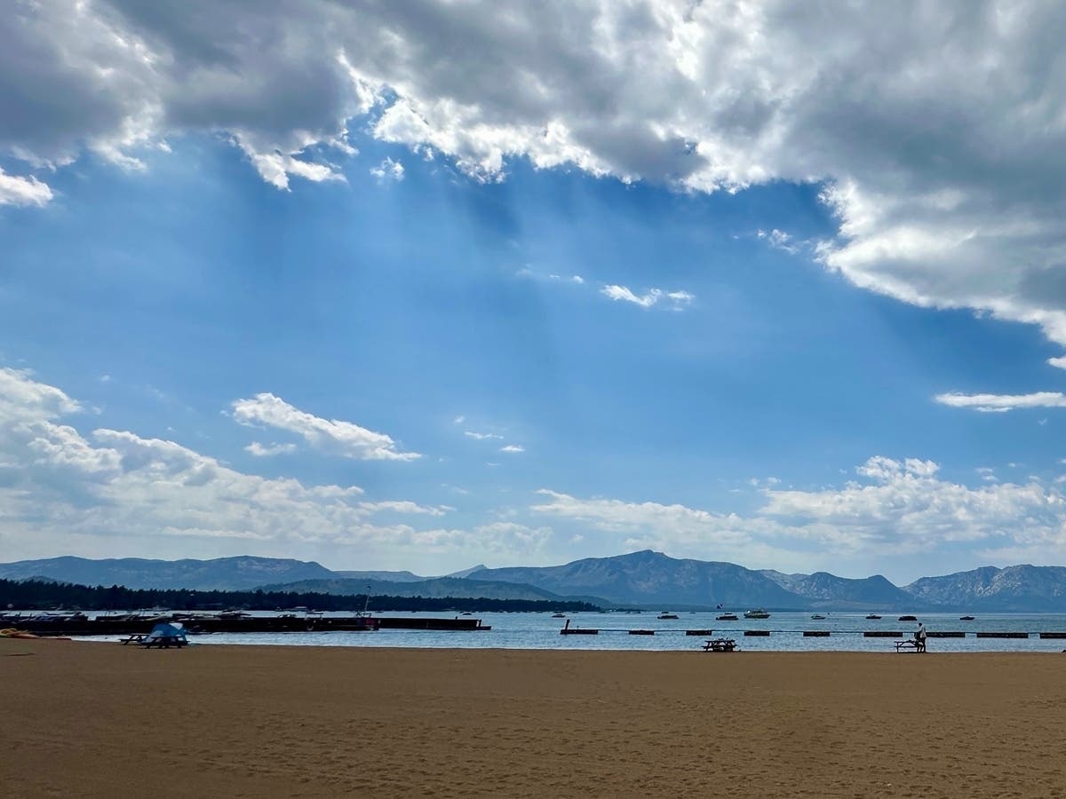 Four Years, No Suspect: Mystery Poisoner Keeps Targeting Trees At Same Tahoe Beach