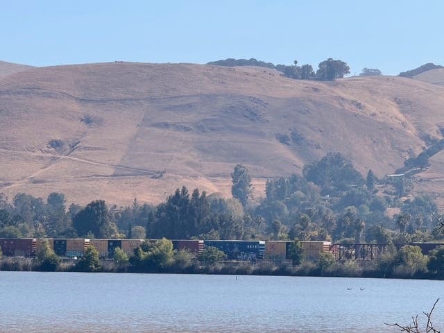 Central Park in Fremont.