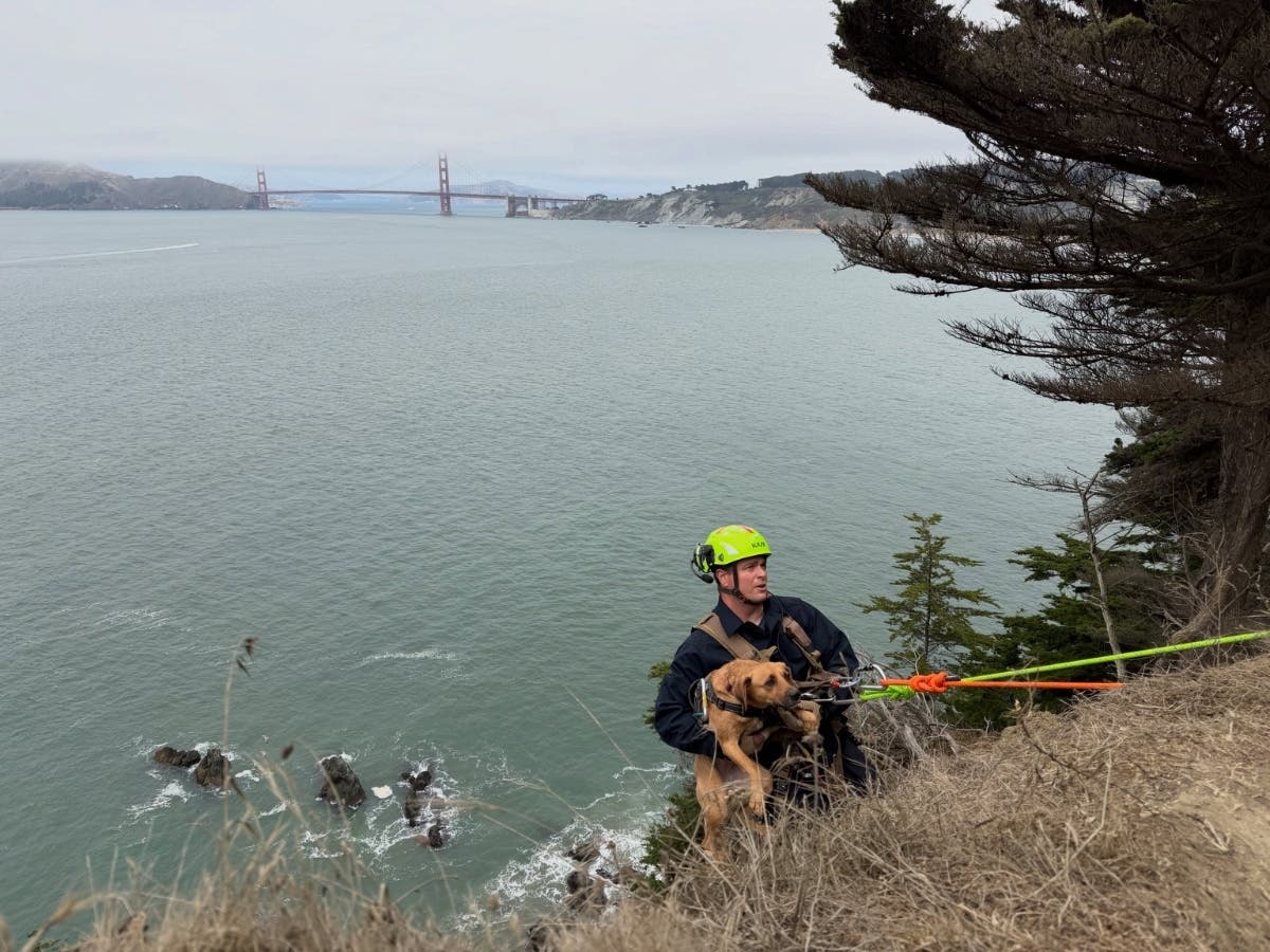 A firefighter rescues a dog that went over Dead Man's Point on Monday, Aug. 17, according to authorities. 