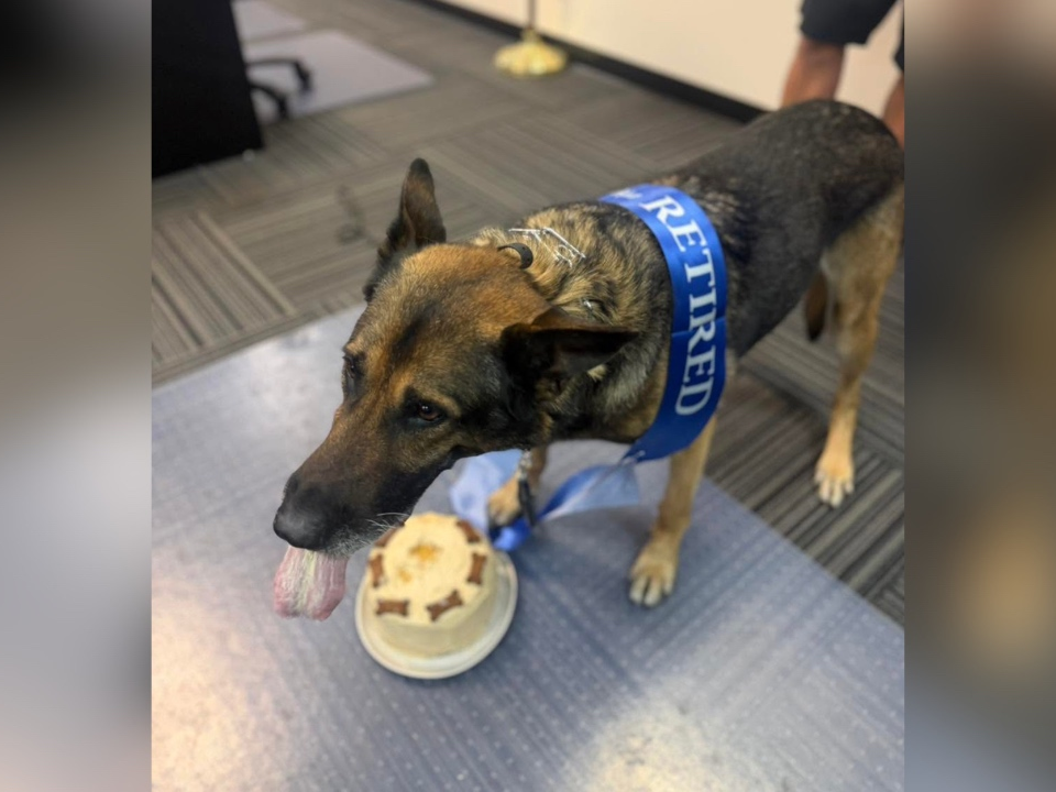 Police say they honored Cash with a "well-deserved special treat" on Friday. 