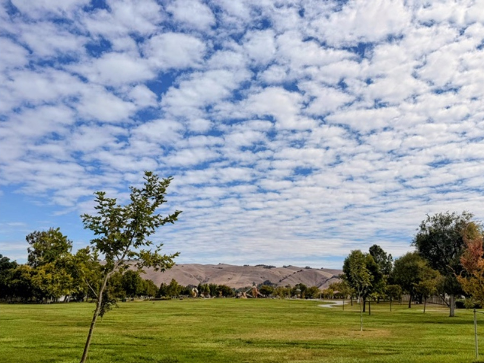 Clouds above Central Park in Fremont.