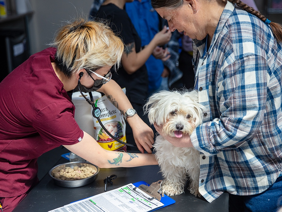 The clinic will take place from 11 a.m. to 3 p.m. on Saturday and Sunday.
