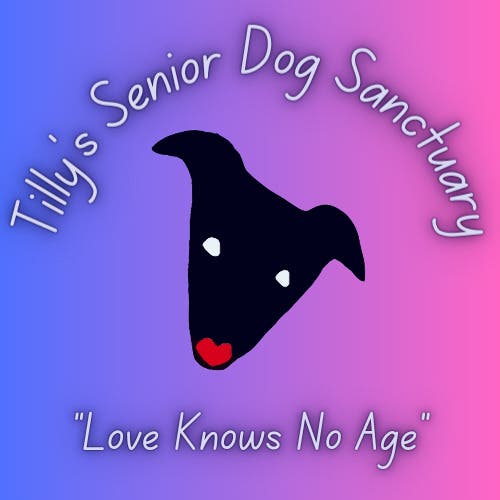 Yard sale for Tilly's Senior Dog Sanctuary