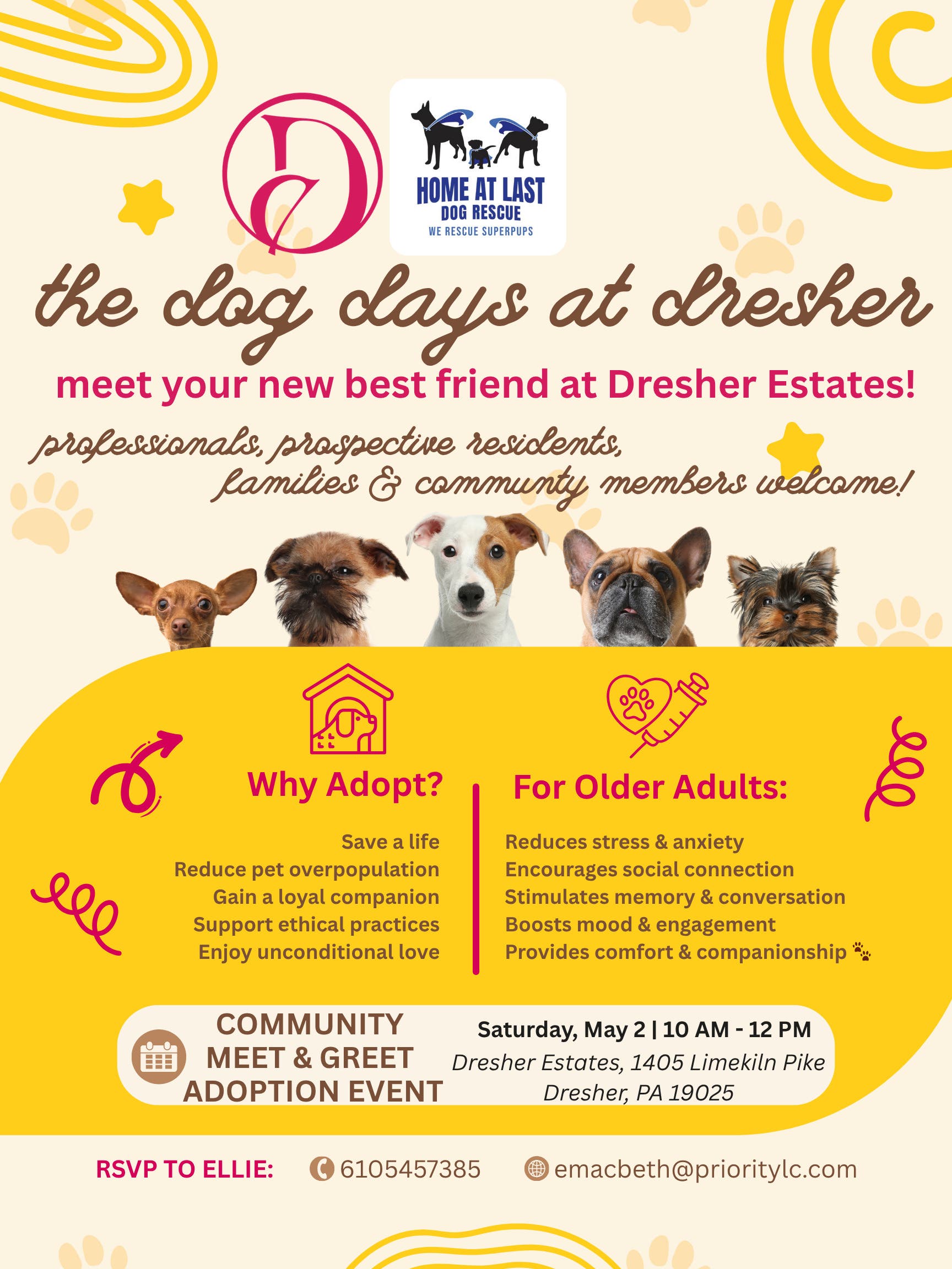 The Dog Days at Dresher: Home at Last