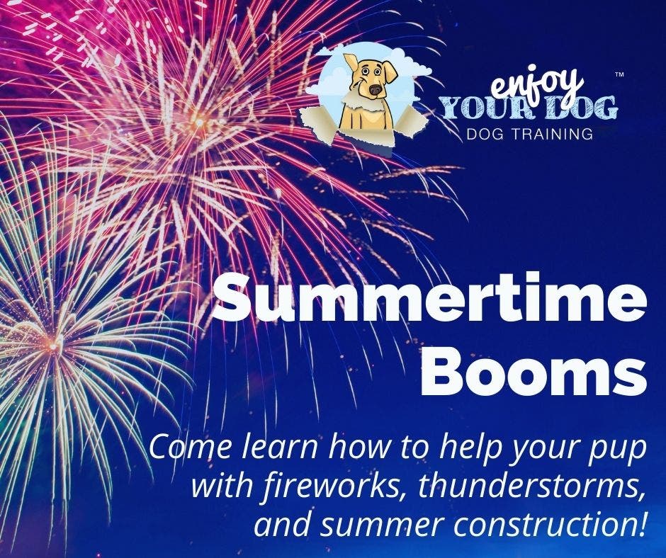 Summertime Booms- -Learn techniques to help your dog feel more comfortable with loud sounds.