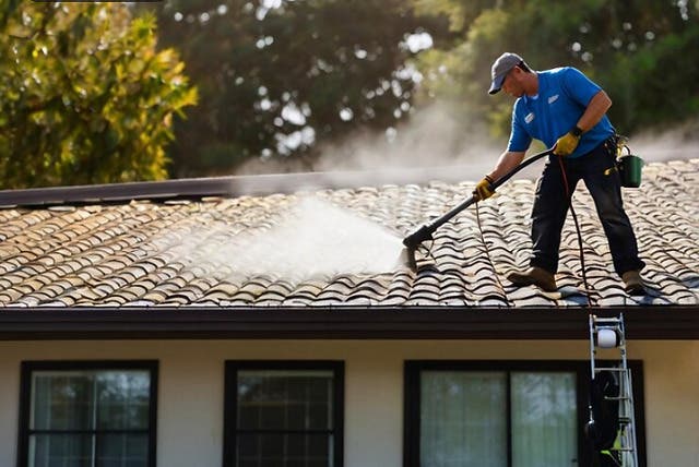 Burrini's Power Washing Services