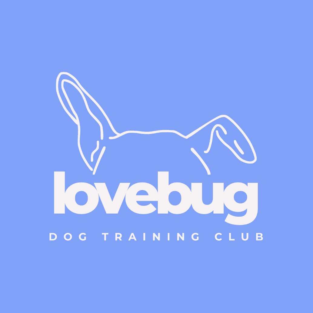Lovebug Dog Training Club
