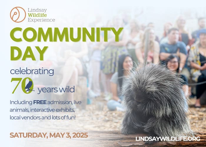 70 Years Wild: Community Day at Lindsay Wildlife Experience