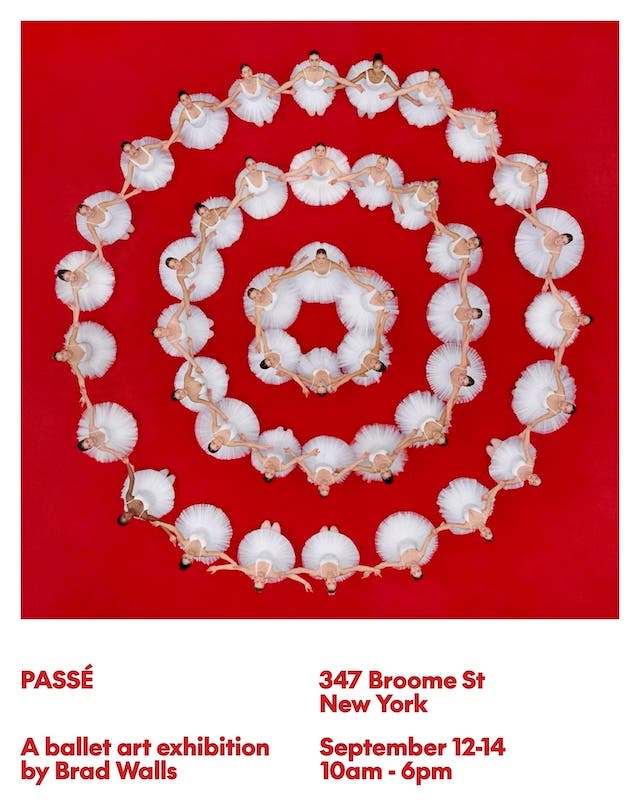 Brad Walls Exhibition 'PASSÉ'