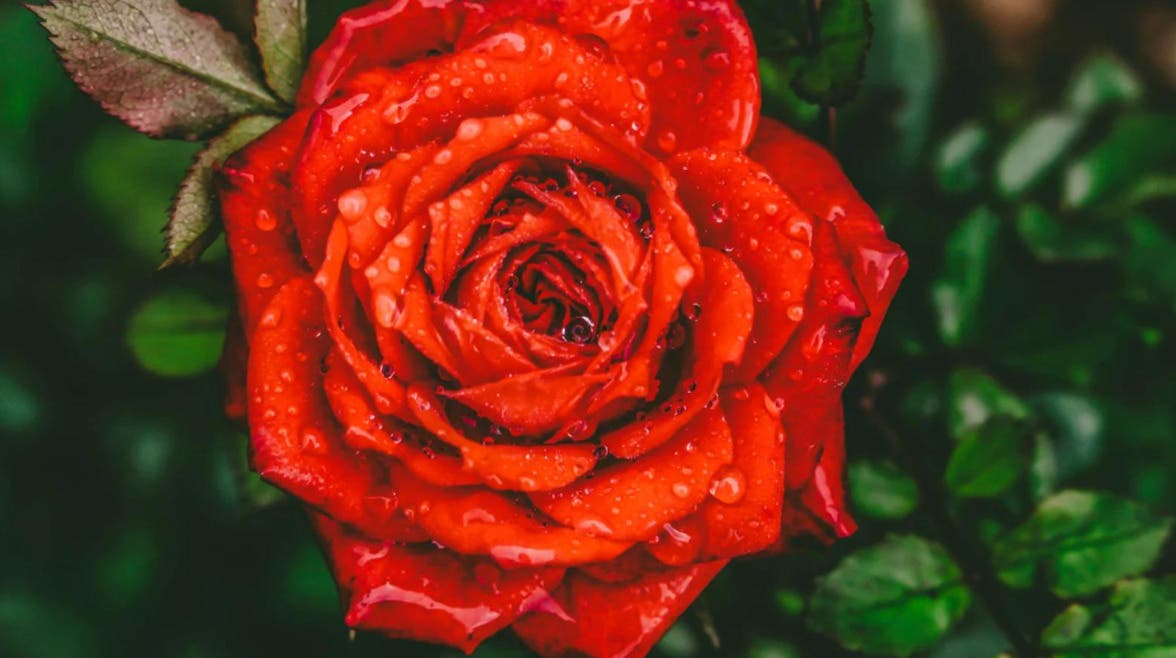 Monthly Women's Circle