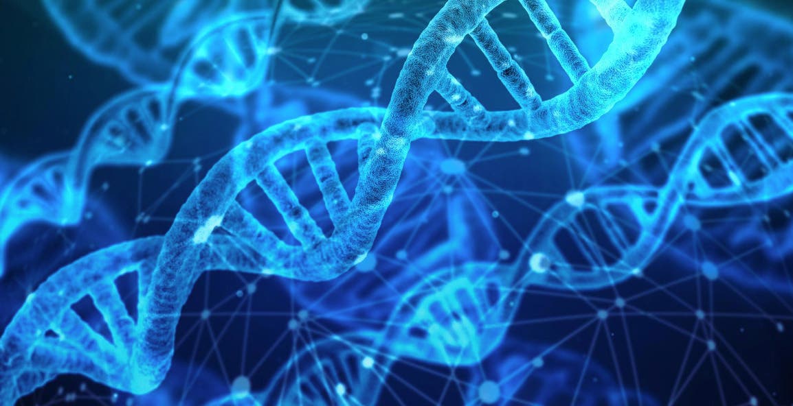 ThetaHealing® Basic DNA Training (Level 1) 3 Days