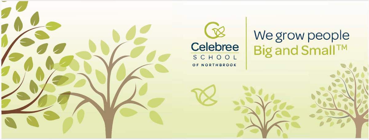 Celebree School of Northbrook