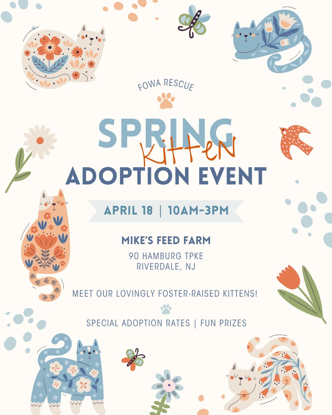 🐱 Kitten Adoptions