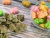 Gummies are the preferred hemp-derived product of menopausal aged women.